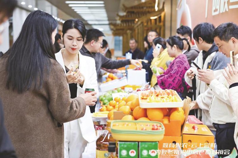 贸易代理行业观察：市场动态与机遇