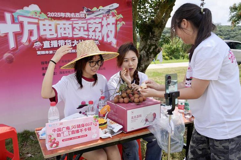 国际货运代理：全球贸易的桥梁